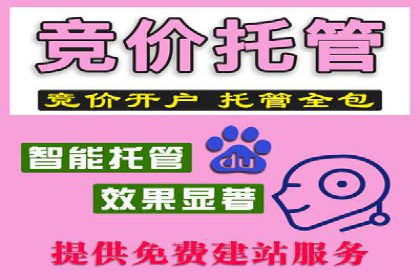 精准投放：SEM推广的技巧与案例